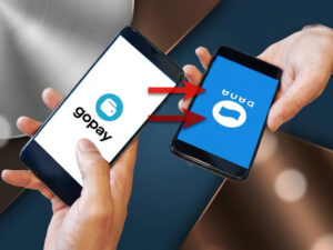 Apakah Saldo DANA Bisa Dikirim ke GoPay