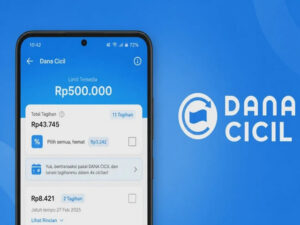 Dana Cicil Tidak Muncul, Apa Penyebabnya