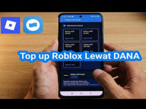 Apa Itu Top Up Roblox DANA